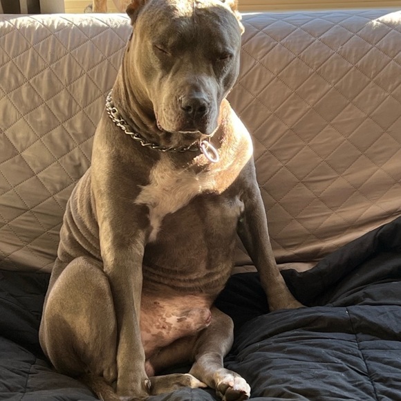 Meet your Posher, Tania - Picture 3 of 16